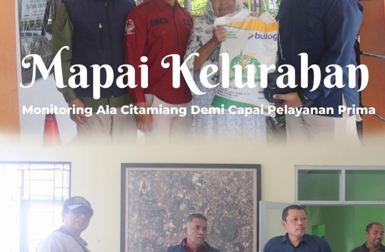 Mapai Kelurahan